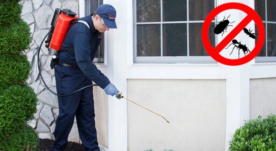 Gülşehir Gümüşkurt İlaçlama böcek ilaçlama ve haşere kontrolü — ilaclama-tr.com